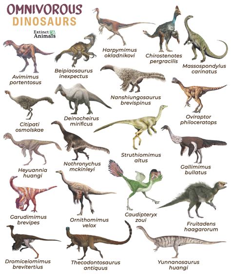 Omnivorous Dinosaurs Facts List Pictures