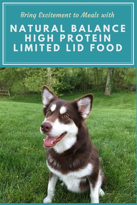 This simple formula is made with whether your cat has food sensitivities, or you just want to keep it simple, natural balance l.i.d. Bring Excitement to Meals with Natural Balance High ...