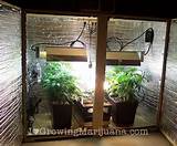 Marijuana Grow Closet Setup Photos