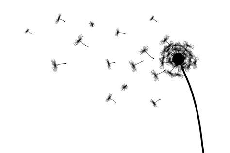 Blowing Dandelion Silhouette With Copy Space 35665591 Vector Art At