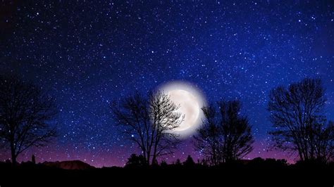 Moonrise And Sky Stars Falling Animation In Night Time Beautiful Video