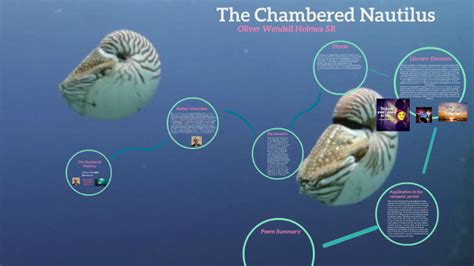 The Chambered Nautilus By Makaila Hunter On Prezi