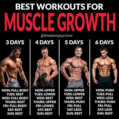 Bulking Workout Routine 6 Day