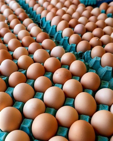 Contact Us Manning Valley Free Range Eggs