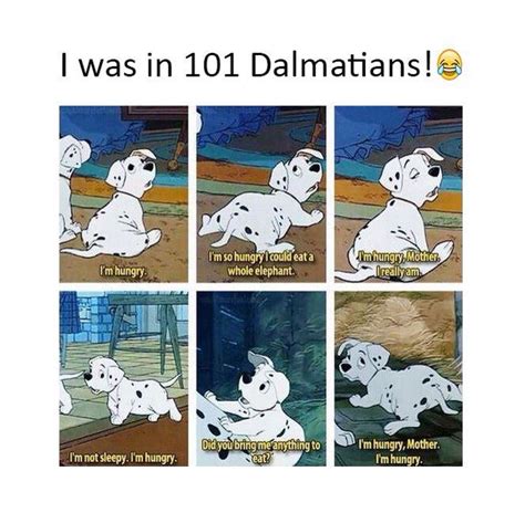 My Life Dalmatian Funny Pictures 101 Dalmatians