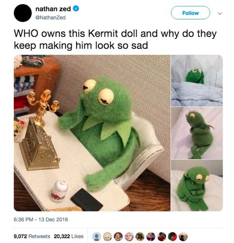 The Best Kermit The Frog Memes On The Internet 2022