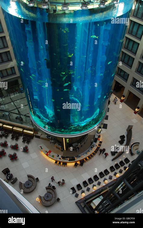 Aquarium in Hotel lobby, Hotel Radisson, Berlin, Germany / AquaDom
