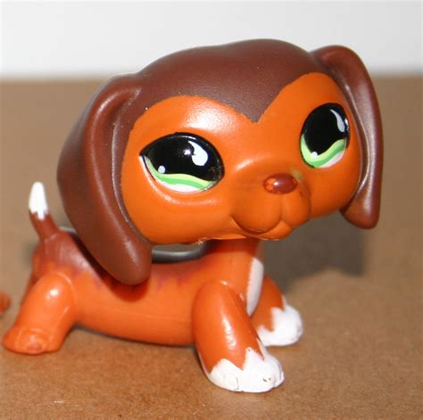 Which Do You Want Most Poll Results Littlest Pet Shop Lps Club