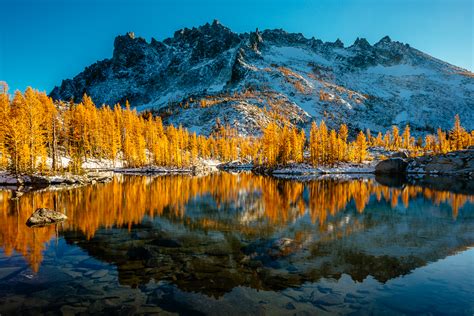 Photo Of The Month Reflections On Golden Larches And Enchanted Places
