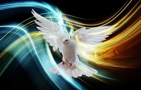 Why We Need The Holy Spirit Spirit Filled Life