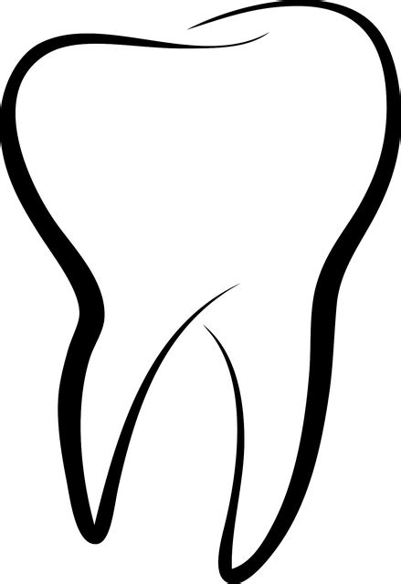 Free Vector Graphic Tooth Dentist Bite Zahntechnik Free Image On
