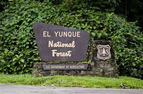 Entrance To El Yunque Flickr Photo Sharing