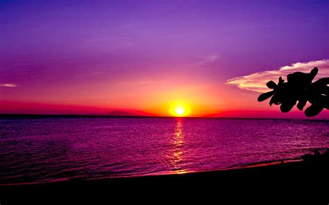 Ocean Sunsets Wallpaper - WallpaperSafari