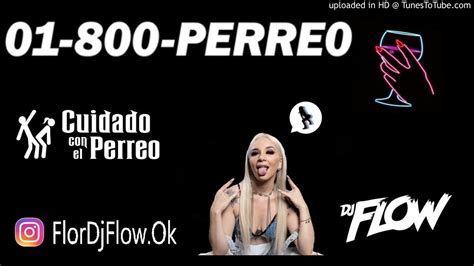 Perreo Peligroso Remix Dj Flow Youtube