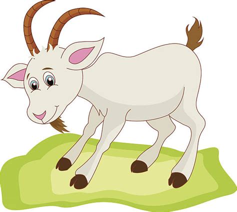 Cute Cartoon Gray Goat Mammal Farm Animal Vector Illustrations Royalty