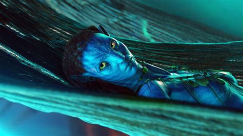 Avatar Fortsetzungen Sequels Sollen Rund Eine Milliarde Dollar Kosten