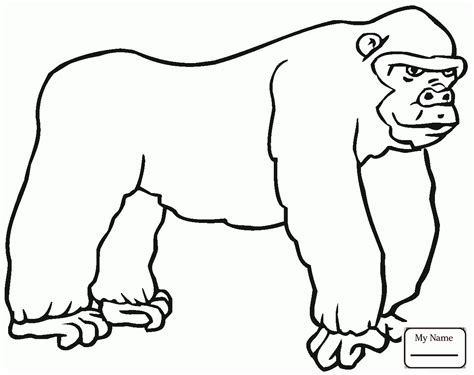 Gorilla Drawing For Kids At Getdrawings Free Download