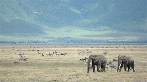 Discover Your Next Destination Ngorongoro Crater Safari Tanzania