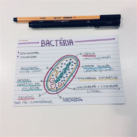Mapa Mental Biologia Bacterias Biologia Ensenanza Biologia Clase De
