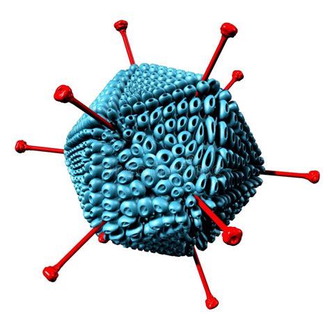 Adenovirus Virus Particle Structure Stock Illustration Illustration