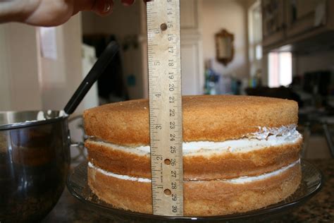 How Do You Make A 2 Tier Sponge Cake Jason Duff Torta Nuziale