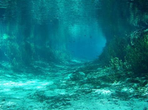 10 Crystal Clear Natural Waters To Swim This Summer Florida Travel