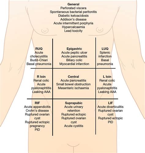 Anatomy Quadrants Pain Depices Nurses And Abdominal Pain On Pinterest