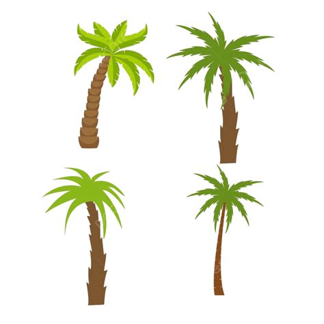 Palm Tree Trees Vector Png Images Flat Vector Set Of Palm Trees Flat