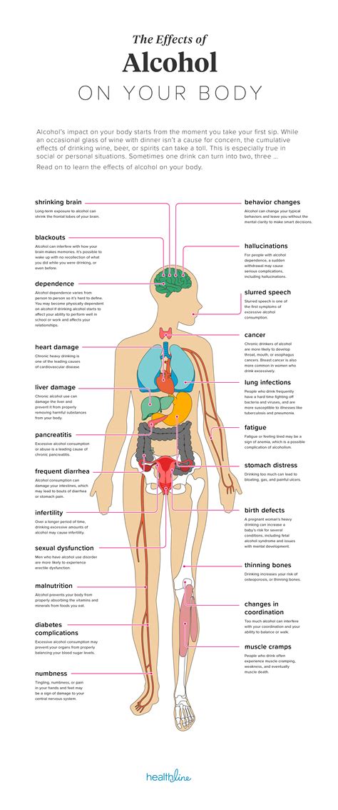 The Effects Of Alcohol On Your Body Alcohol Awareness