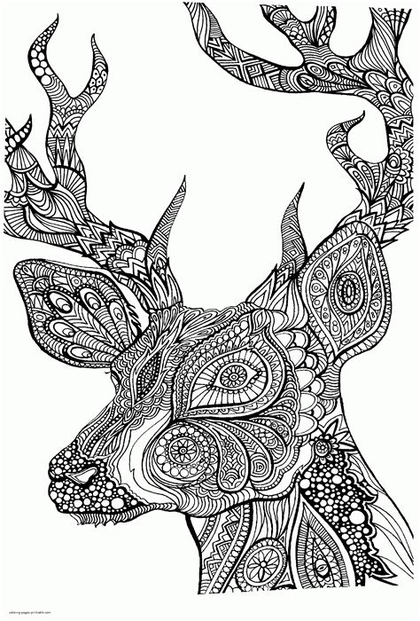 Free Animal Adult Coloring Pages With Deer Coloring Pages Printablecom