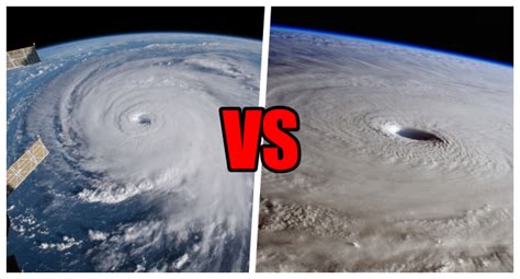 The hurricane vs the kane. Typhoon VS Hurricane - What Are Their Differences?