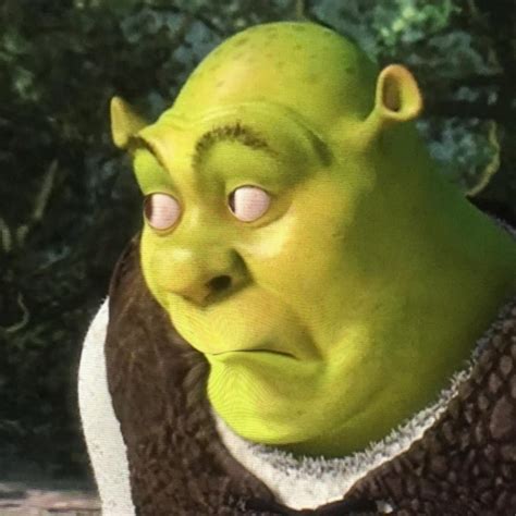 Create Meme Looking For Torches Shrek Shrek Funny Face