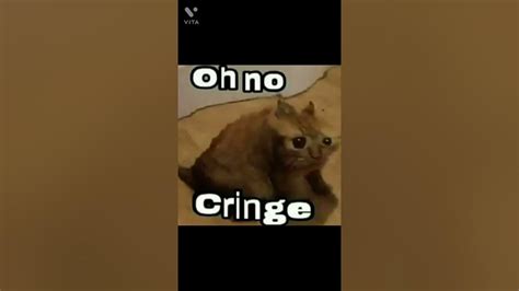 Oh No Cringe Original Meme Youtube