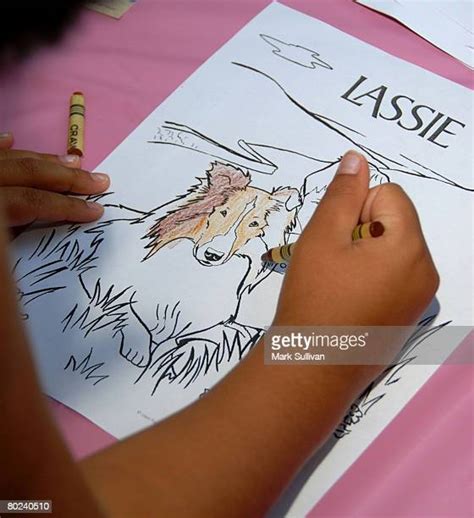 Lassie Disney Photos Et Images De Collection Getty Images