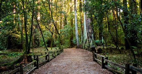 Landscaped by architects frederick law olmstead and calvert vaux (they also designed central park and boston's emerald necklace), the. Must See Eco-Friendly National Parks - Eco18