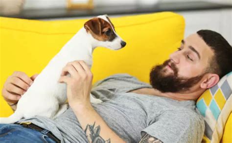 Latest Study Claims That Mens Beards Contain More Bacteria Than Dogs