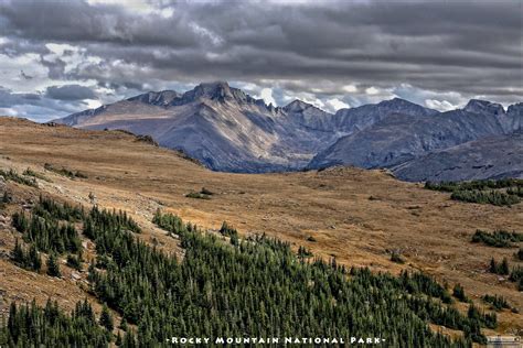 Alpine Tundra Ecosystem Of Rocky Mountain National Park Colorado Oc