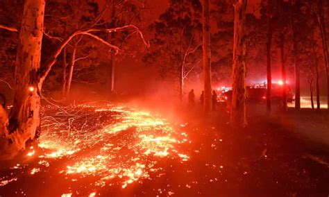 Australias Black Summer Bushfires Showed The Impact Of Human Wrought