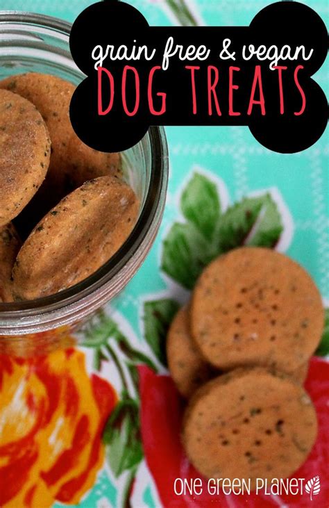 You'll find countless beneficial reasons to offer your. Grain-Free Peanut Butter Dog Treats | Dog food recipes, Vegan dog food, Homemade dog food
