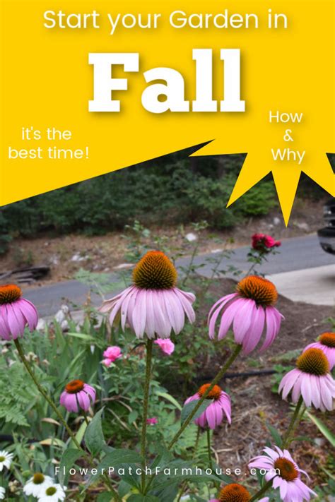 Why Fall Is The Best Time To Garden Flower Patch Farmhouse