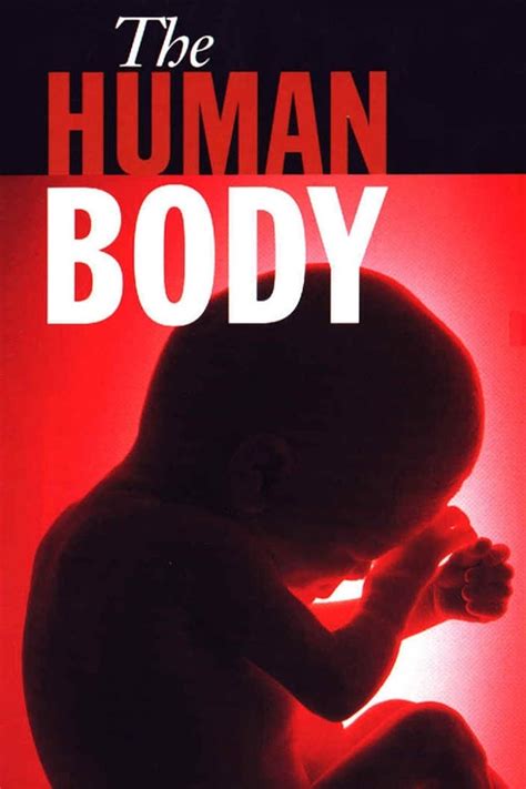 The Human Body Tv Series 1998 1998 Posters — The Movie Database Tmdb