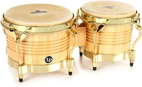 5 Best Bongos For All Budgets