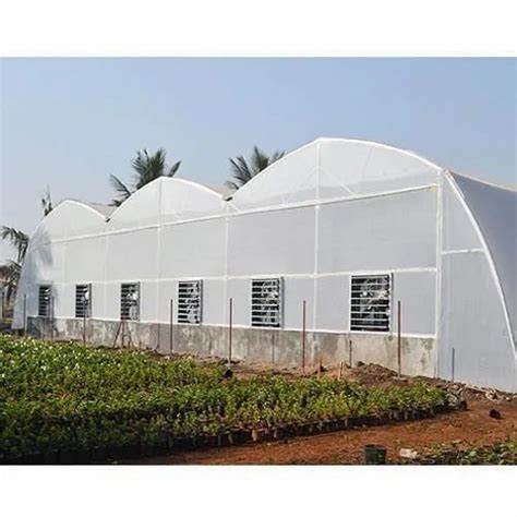 Agriculture Greenhouse Hi Tech Polyhouse With Fan Pad System