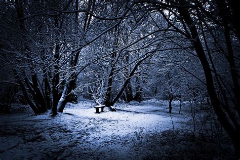 Winter Wonderland Photography Fantastic Examples And Tips