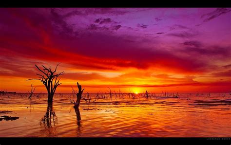 Pink Clouds Sunset Sunset Waterscape Amazing Clouds Nature Orange Purple Sky Sunsets