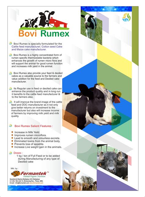 Bovi Rumex Advance Cattle Feed Supplement For Cattle Feed