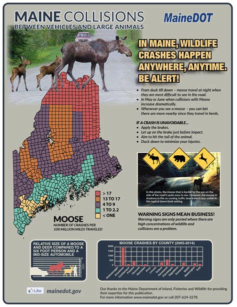 Maine Moose Population Map Draw A Topographic Map