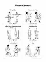 Images of Best Tricep Exercises