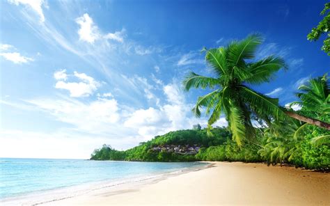 Beach Vacation Wallpapers Top Free Beach Vacation Backgrounds