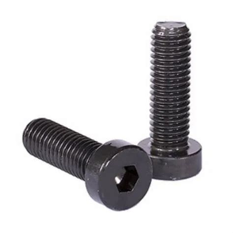 Mild Steel Galvanized Socket Low Head Cap Screw For Door Fitting Size